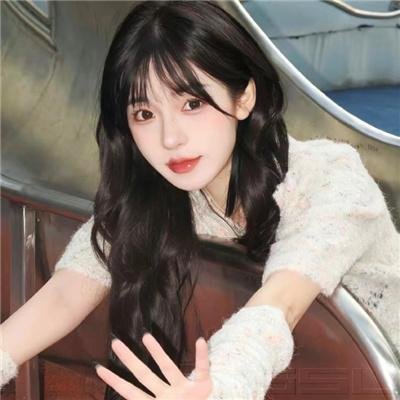特禽鲨龙